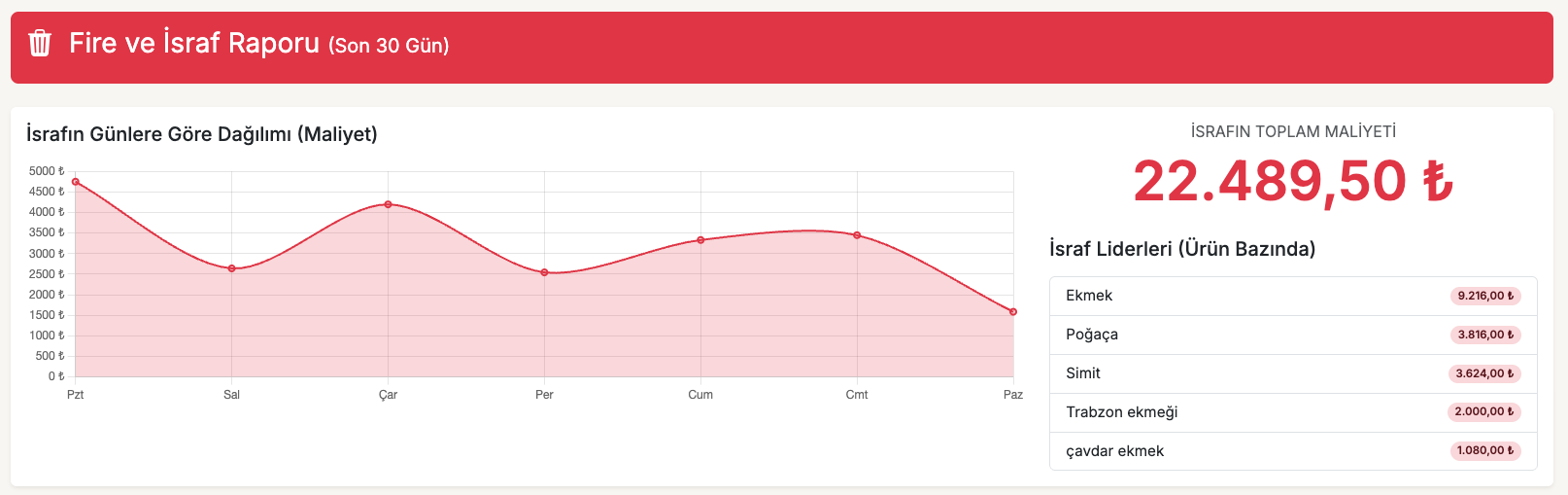 Fire ve İsraf Raporu Ekran Görüntüsü